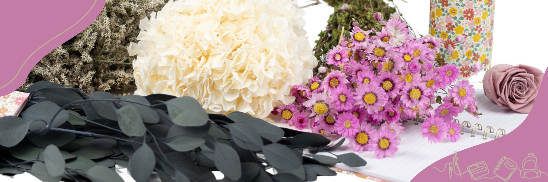 Back-to-school 2024 at Phocealys